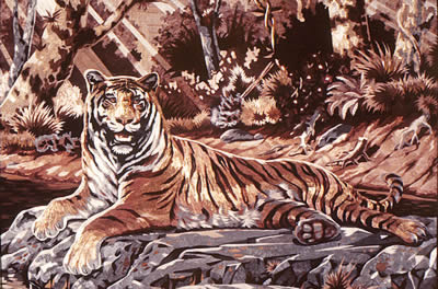 Tiger in Repose